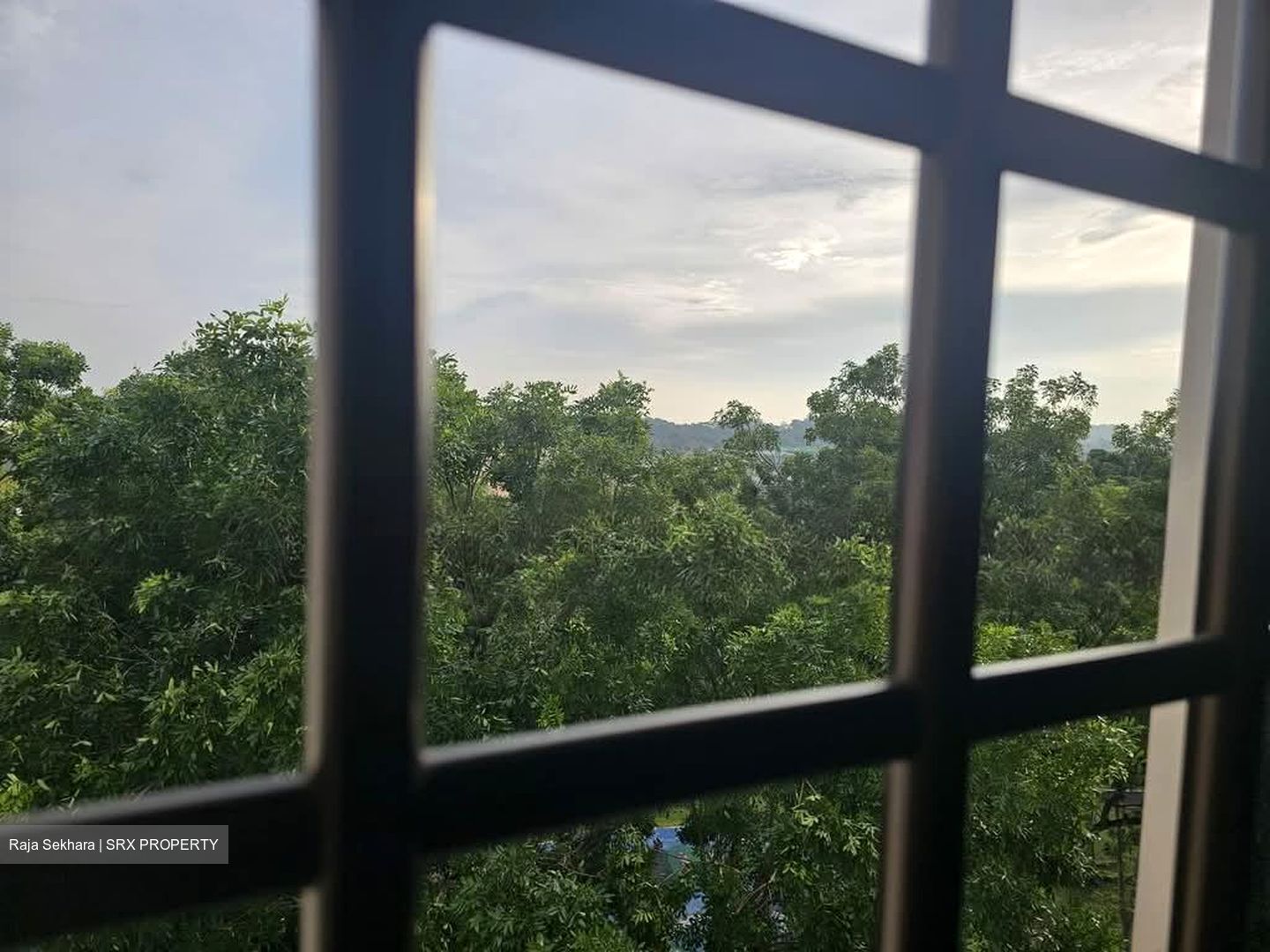 Blk 12 Holland Vista (Queenstown), HDB 3 Rooms #562100111
